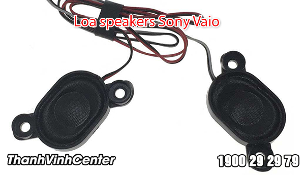 Một số dòng Loa Speaker Laptop Sony Vaio Thành Vinh Center hiện đang cung cấp