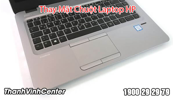 Một số mẫu mặt chuột laptop HP tại Thành Vinh Center