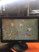 MÀN HÌNH MÁY TÍNH ĐỂ BÀN CŨ Màn hình LCD Dell S1709W - 17