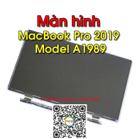 Thay Màn Hình MacBook Pro (2019) Model A1989 EMC 3358 MV962LL/A MV982LL/A 13 inch.